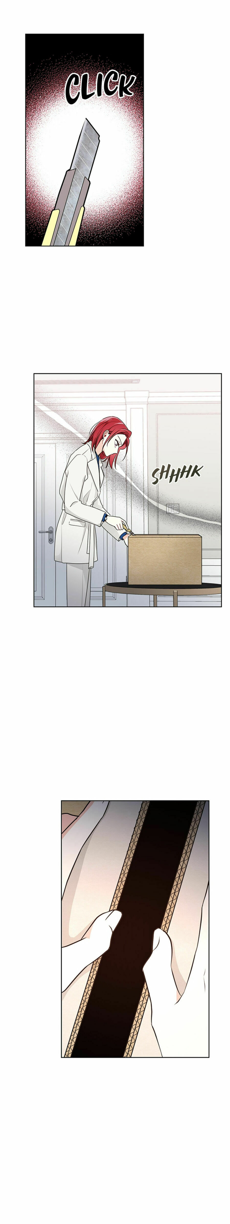 The President's Special Order – Chapter 4 page 13